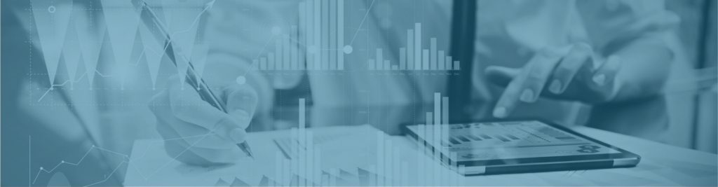 Revenue and Inspection Audit